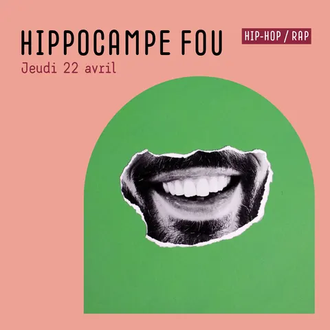 Affiche Hippocampe Fou en concert à La Cabane