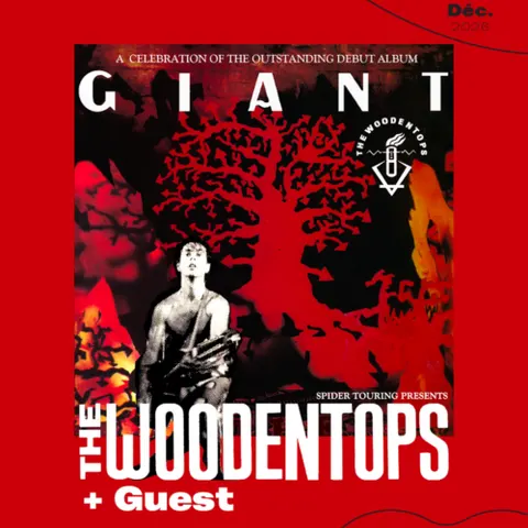 Affiche Woodentops en concert au Petit Bain