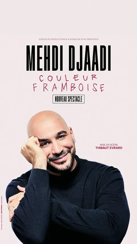 Affiche Mehdi Djaadi en concert au Théâtre Louis Pasteur